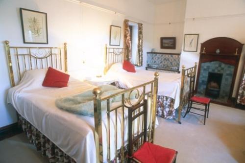 Lekkerwijn Historic Country House フランシュホーク 部屋 写真